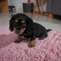 processed/350cd0ea-a363-4fa8-8caa-9dc41ad983ae/listing/4c20760d-e535-41b6-adc2-faa74629f608/f6b7692f-8a70-4f91-ad33-56f9d84badc4