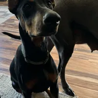 processed/3512202f-f8e8-4ae8-942a-9781b03bdf3f/facility/04f60458-6f93-42e4-a96d-5f4c619757dd