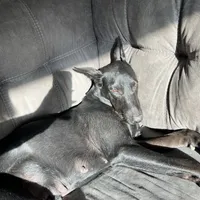 processed/3512202f-f8e8-4ae8-942a-9781b03bdf3f/facility/56c5dce2-d372-49d4-b929-78a8d8776f1d