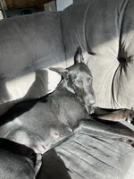 processed/3512202f-f8e8-4ae8-942a-9781b03bdf3f/facility/56c5dce2-d372-49d4-b929-78a8d8776f1d