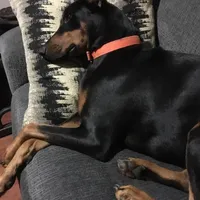 processed/3512202f-f8e8-4ae8-942a-9781b03bdf3f/facility/6eec5bee-c8b8-48a2-8031-d0a88b3afc07