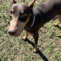 processed/3512202f-f8e8-4ae8-942a-9781b03bdf3f/facility/8496ae0e-9e26-45bd-899d-3a2ca41680c3