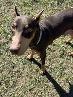 processed/3512202f-f8e8-4ae8-942a-9781b03bdf3f/facility/8496ae0e-9e26-45bd-899d-3a2ca41680c3