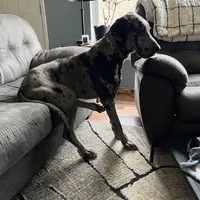 processed/3512202f-f8e8-4ae8-942a-9781b03bdf3f/facility/889b8f6a-33e8-4905-b214-48c5d29b5463