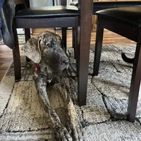 processed/3512202f-f8e8-4ae8-942a-9781b03bdf3f/facility/b9226a08-ea32-440f-a4e3-b25f54b090af