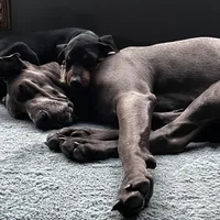 processed/3512202f-f8e8-4ae8-942a-9781b03bdf3f/facility/bc84343c-d1e0-49ea-a46d-db5b99c74a3a