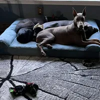 processed/3512202f-f8e8-4ae8-942a-9781b03bdf3f/facility/fe45f272-8cf6-4db2-8c8e-87db062e1fc7