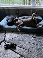 processed/3512202f-f8e8-4ae8-942a-9781b03bdf3f/facility/fe45f272-8cf6-4db2-8c8e-87db062e1fc7