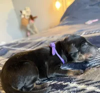 processed/3512202f-f8e8-4ae8-942a-9781b03bdf3f/listing/4d043db6-2d93-4870-9185-f13579f9ffdd/40700fbe-24b7-410a-b319-1b014f16c413