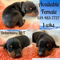 processed/3512202f-f8e8-4ae8-942a-9781b03bdf3f/listing/4d043db6-2d93-4870-9185-f13579f9ffdd/c765dca5-3997-40dd-b680-2af9b1ffe61c