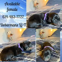 processed/3512202f-f8e8-4ae8-942a-9781b03bdf3f/listing/4d043db6-2d93-4870-9185-f13579f9ffdd/e0a456d5-9510-4882-8de1-32260d145efa