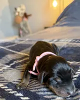 processed/3512202f-f8e8-4ae8-942a-9781b03bdf3f/listing/4dc080ab-4d22-47e8-84e8-d823994b3b81/4ec0ed8c-d416-4673-ac05-384644bd0364