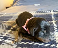 processed/3512202f-f8e8-4ae8-942a-9781b03bdf3f/listing/4dc080ab-4d22-47e8-84e8-d823994b3b81/7b2bdf13-8427-4ea6-ad65-44c1ec9f12e7