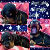 processed/3512202f-f8e8-4ae8-942a-9781b03bdf3f/listing/4dc080ab-4d22-47e8-84e8-d823994b3b81/aa0c5dc8-4de4-493f-9b25-cdf56d9705a1