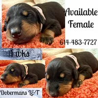 processed/3512202f-f8e8-4ae8-942a-9781b03bdf3f/listing/4dc080ab-4d22-47e8-84e8-d823994b3b81/bc26ef3c-07b2-4a69-bb97-1560fe75e790