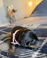 processed/3512202f-f8e8-4ae8-942a-9781b03bdf3f/listing/4dc080ab-4d22-47e8-84e8-d823994b3b81/c39a915e-17cd-4628-8fa7-192033a149ff