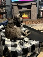 processed/3512202f-f8e8-4ae8-942a-9781b03bdf3f/listing/abbd7a88-619f-4e55-afa3-259321ffb344/03bd50fb-7514-4ae1-9d4e-4e8f07130802