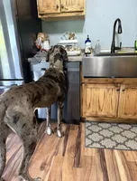 processed/3512202f-f8e8-4ae8-942a-9781b03bdf3f/listing/abbd7a88-619f-4e55-afa3-259321ffb344/3cf54c9c-29f5-4e33-a8f4-2caf4ffc55fe