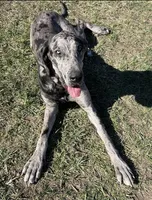 processed/3512202f-f8e8-4ae8-942a-9781b03bdf3f/listing/abbd7a88-619f-4e55-afa3-259321ffb344/7eaf4e25-213d-4185-9084-a57d5d50566e