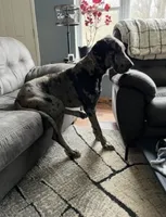 processed/3512202f-f8e8-4ae8-942a-9781b03bdf3f/listing/abbd7a88-619f-4e55-afa3-259321ffb344/ba233d45-19d7-44c0-afe6-f53c92a095fb