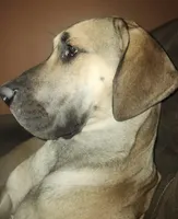 processed/3512202f-f8e8-4ae8-942a-9781b03bdf3f/listing/abbd7a88-619f-4e55-afa3-259321ffb344/c7181e64-434a-4f45-89b4-a5354cfd2b0d