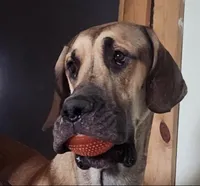 processed/3512202f-f8e8-4ae8-942a-9781b03bdf3f/listing/abbd7a88-619f-4e55-afa3-259321ffb344/e58d9220-555e-4aa7-a796-80b9f412fe35