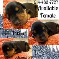 processed/3512202f-f8e8-4ae8-942a-9781b03bdf3f/listing/c321c253-d762-4406-97cd-31582dd0dfb3/55f19788-b4df-46a5-b9e3-2f3578a3df28