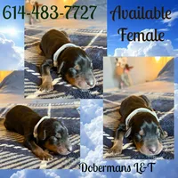 processed/3512202f-f8e8-4ae8-942a-9781b03bdf3f/listing/c321c253-d762-4406-97cd-31582dd0dfb3/7c3eb230-9d5e-4eee-9627-35ead694ff00