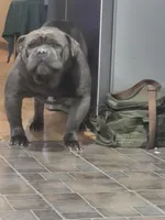 processed/351d0f36-dd98-457c-9003-c48c20cd3a43/facility/1f012878-031a-4058-b9cc-8b52b736f7fa