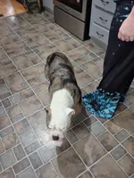 processed/351d0f36-dd98-457c-9003-c48c20cd3a43/facility/9b6580ff-3c98-44d0-94fc-1b41abac209d