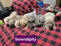 processed/351d0f36-dd98-457c-9003-c48c20cd3a43/facility/a234e0a6-6257-458f-b30e-9198433f7737