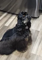 processed/3521af4f-ebfc-4544-8a6f-0b00e92bc678/facility/67486121-a030-4ae3-bfcc-c1314c4be7a2