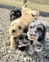 processed/3524a5fa-caab-47fe-ac6f-08e495b0b35d/facility/22e61708-11dd-4b98-bb57-6e237dbbbd1e