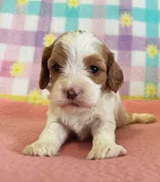 processed/3524a5fa-caab-47fe-ac6f-08e495b0b35d/facility/3c6e7e43-c86a-49eb-90d3-a18ddab34560