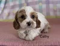 processed/3524a5fa-caab-47fe-ac6f-08e495b0b35d/facility/8bed5913-52fa-43d2-aba6-c3727ad8180e