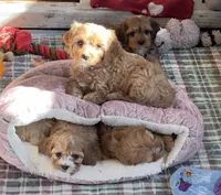 processed/3524a5fa-caab-47fe-ac6f-08e495b0b35d/facility/c075a087-e476-4f7d-b1bc-1ea068330809