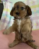 processed/3524a5fa-caab-47fe-ac6f-08e495b0b35d/facility/f33daaa6-4d1b-4799-baf6-11adab9dc7e1