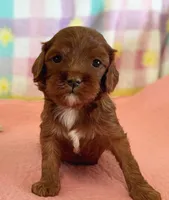 processed/3524a5fa-caab-47fe-ac6f-08e495b0b35d/facility/ff16f6dd-cca9-4d71-a8b4-7a2633d02364