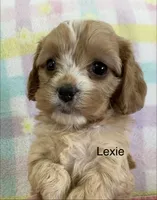 processed/3524a5fa-caab-47fe-ac6f-08e495b0b35d/listing/0e8600b6-b085-4819-92ff-041b4d96ffa5/3f293704-2e87-4ee2-9794-19663af55559