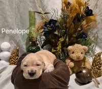 processed/352ee151-c711-4d3e-b1f1-24bd290ea193/listing/790dc31f-bbea-4cea-828a-c4de0186ac7c/030669e9-bdb5-43ca-a690-b9ea5b747ea7