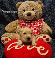 processed/352ee151-c711-4d3e-b1f1-24bd290ea193/listing/790dc31f-bbea-4cea-828a-c4de0186ac7c/2ef24278-72d3-4c1a-9eb6-9f96f92f8cbd