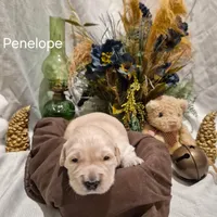 processed/352ee151-c711-4d3e-b1f1-24bd290ea193/listing/790dc31f-bbea-4cea-828a-c4de0186ac7c/5754a8a8-067f-4fc8-aeb4-83f582811b79