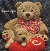 processed/352ee151-c711-4d3e-b1f1-24bd290ea193/listing/790dc31f-bbea-4cea-828a-c4de0186ac7c/739c5883-a766-4459-9f7c-9c8fdf083ccf