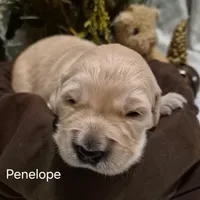 processed/352ee151-c711-4d3e-b1f1-24bd290ea193/listing/790dc31f-bbea-4cea-828a-c4de0186ac7c/e0903a43-3289-4ec7-b6fc-650d2863455e