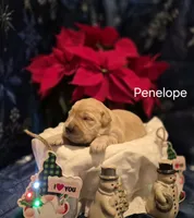 processed/352ee151-c711-4d3e-b1f1-24bd290ea193/listing/790dc31f-bbea-4cea-828a-c4de0186ac7c/e411c873-9c14-42b0-8417-cda2a047fc4f