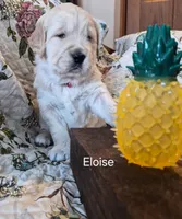 processed/352ee151-c711-4d3e-b1f1-24bd290ea193/listing/a88c896d-ba25-4c6c-a76f-109359503ef7/04426fd4-013c-4600-95a0-c59393ee165b