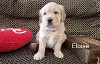 processed/352ee151-c711-4d3e-b1f1-24bd290ea193/listing/a88c896d-ba25-4c6c-a76f-109359503ef7/16b10ee2-f46c-410b-810e-43eca0100184