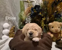 processed/352ee151-c711-4d3e-b1f1-24bd290ea193/listing/a88c896d-ba25-4c6c-a76f-109359503ef7/1fb801bd-e962-4ad8-8acd-0b633066d904