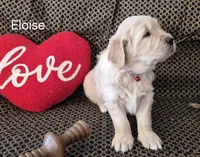 processed/352ee151-c711-4d3e-b1f1-24bd290ea193/listing/a88c896d-ba25-4c6c-a76f-109359503ef7/232e466c-882c-4f82-a9ec-7f43bb7e5473