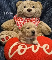 processed/352ee151-c711-4d3e-b1f1-24bd290ea193/listing/a88c896d-ba25-4c6c-a76f-109359503ef7/4f2c06da-6f7b-4479-b569-6134ac33f118